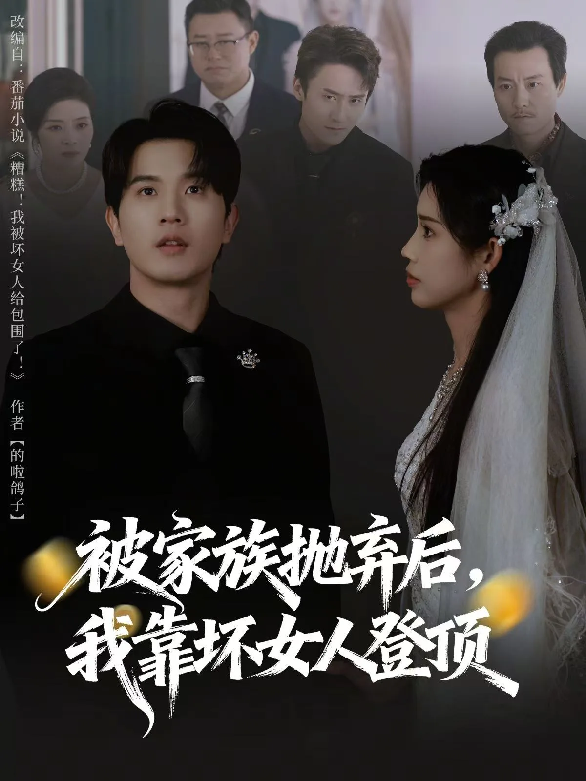 被家族抛弃后,我靠坏女人登顶