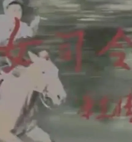 女司令