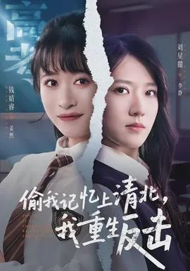 偷我记忆上清北,我重生反击