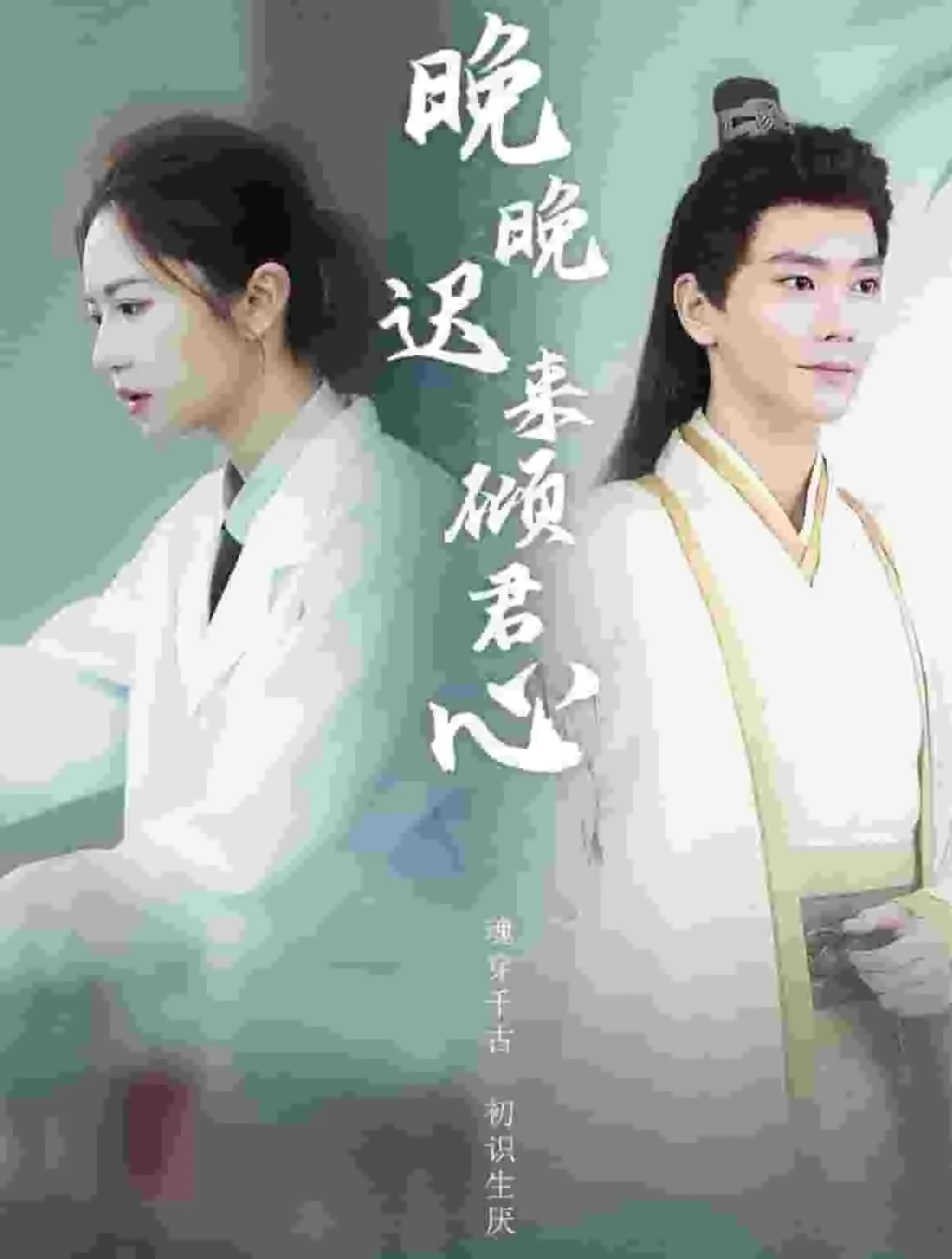 晚晚迟来倾君心