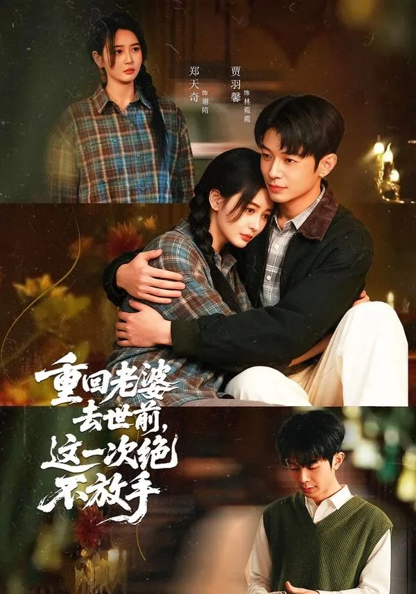 重回老婆去世前,这一次绝不放手